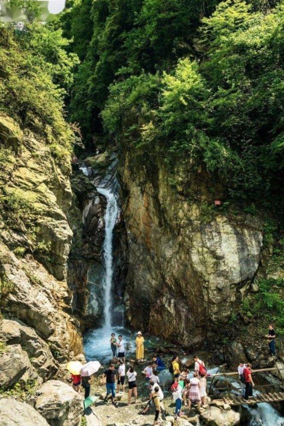 方媛综艺首秀气场强，谈郭富城满脸幸福，自曝靠颜值吃饭